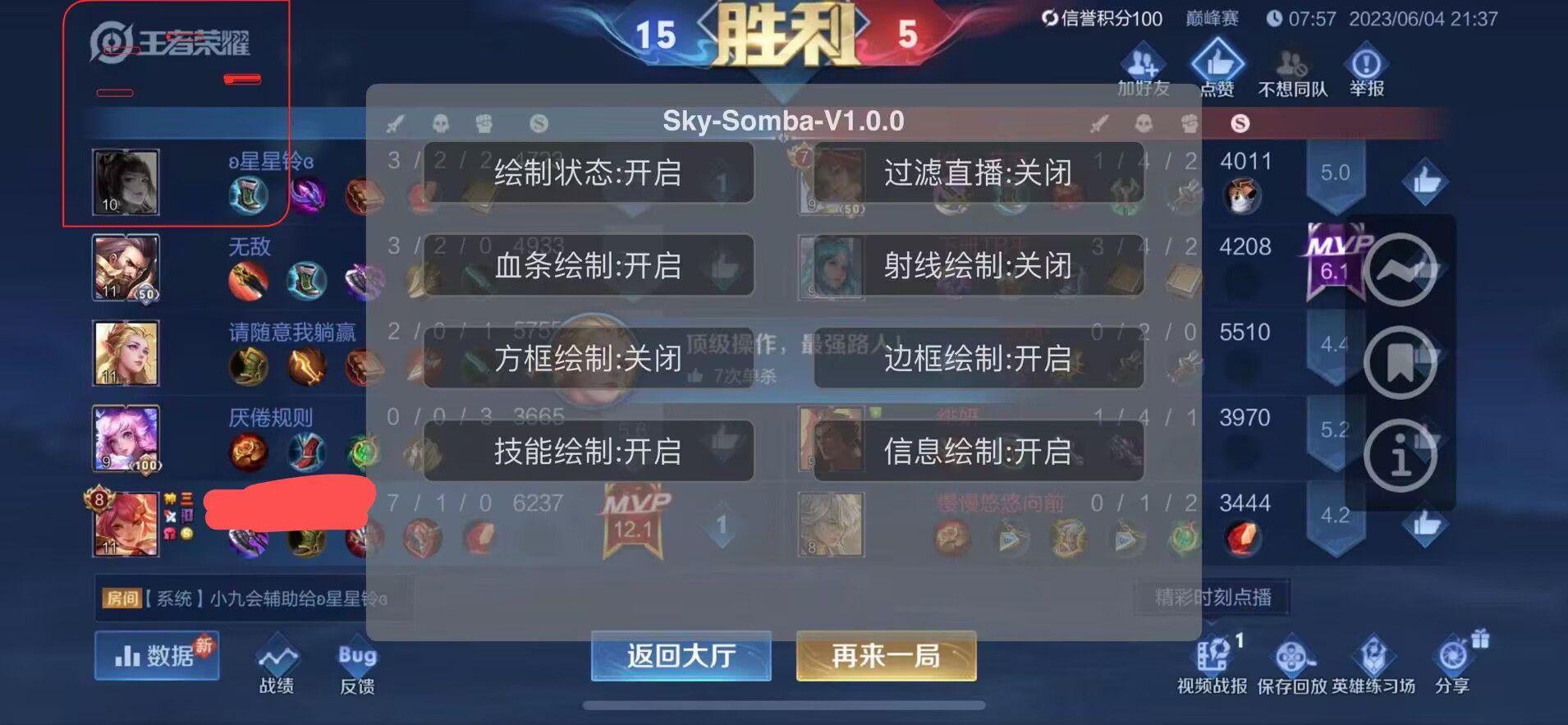 王者荣耀【白色闪电】内部辅助